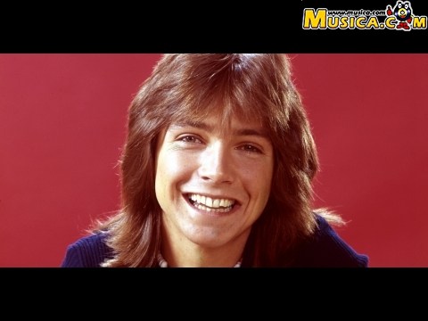 Somebody Wants To Love You de David Cassidy