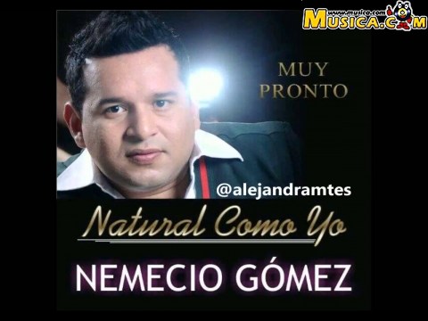 Mariposita de Nemecio Gomez