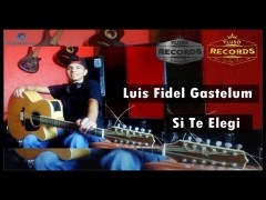 Si Te Elegí. de Luis Fidel Gastélum