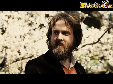 History of lovers de Iron And Wine