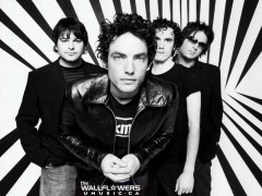 Ashes To Ashes de Wallflowers, the