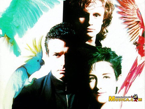 Mecano