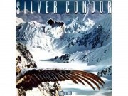 Silver Condor