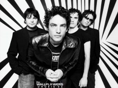 Wallflowers Wallflowers