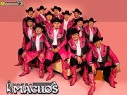 Banda Machos