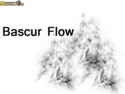 Bascur Flow