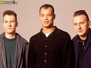 Fine Young Cannibals