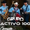 Grupo Activo 100