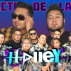 Grupo Halley