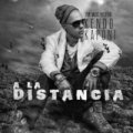 A la distancia 
