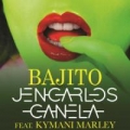 Bajito (ft. Kymani Marley)