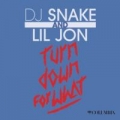 Turn Down For What (ft. Lil Jon)