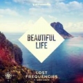 Beautiful Life (ft. Sandro Cavazza)