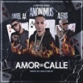 Amor De Calle (ft. Anonimus, Alexis)