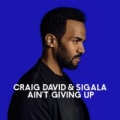Ain't Giving Up (ft. Sigala)