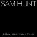 Break Up In A Small Town