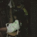 Percolator