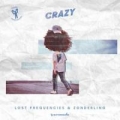 Crazy (ft. Zonderling)