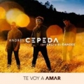 Te Voy a Amar (ft. Cali & El Dandee)