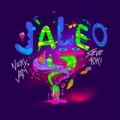 Jaleo (échale la culpa al alcohol) (ft. Steve Aoki)
