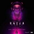 Única (Remix) (ft. Anuel AA, Wisin & Yandel)