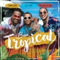 Bien Tropical (ft. El Alfa El Jefe, Shelow Shaq)