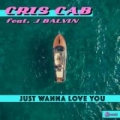 Just Wanna Love You (ft. J Balvin)