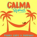 Calma (Remix) (ft. Farruko)