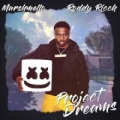 Project Dreams (ft. Roddy Ricch)