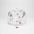 You should see me in a crown[live from Ellen]