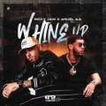 Whine Up (ft. Anuel AA)