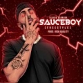 SAUCEBOY (Freestyle)