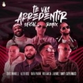 Te Vas Arrepentir Remix (ft. Álex Rose, Rafa Pabón, Nio García, J Álvarez, Randy, Casper Mágico)