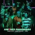 Amores Prohibidos (ft. Lenny Tavarez, Yomo)