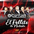 Pollito El De Modesto