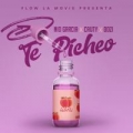 Te Picheo (ft. D.OZi, Cauty)