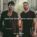Falta Amor Remix (ft. Ricky Martin)