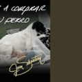 Me Voy A Comprar Un Perro