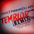 Temblor Remix (ft. Causa, El Alfa)