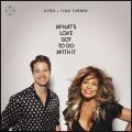 What's Love Got To do With It (ft. Tina Turner)