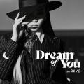 Dream of You (ft. R3HAB)