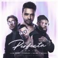 Perfecta (Remix) (ft. Farruko, Juanka El Problematik, Dalex)