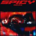 Spicy (Remix) (ft. Tyga, Ty Dolla Sign, Post Malone, YG)