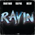 Ravin (ft. Sean Paul, Greeicy)