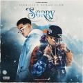 Sorry (ft. Ñengo Flow)
