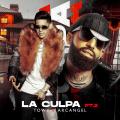 La Culpa Pt. 2 (ft. Arcangel)