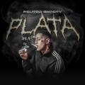 Plata