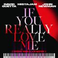 If You Really Love Me (How Will I Know) (ft. MistaJam, John Newman)