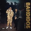 Bandidos (ft. Natanael Cano)