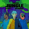 Jungle (ft. Bizarrap, Randy)